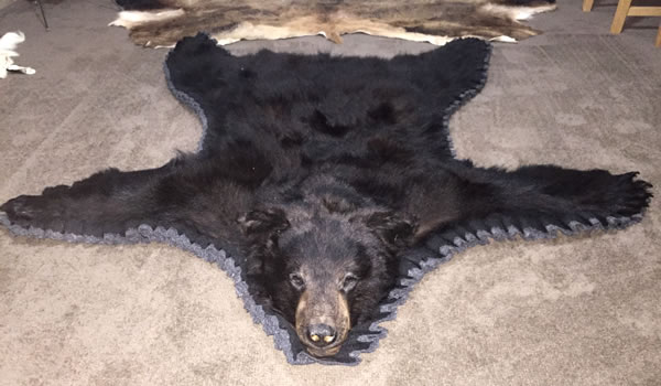 Outlaw Taxidermy Photo